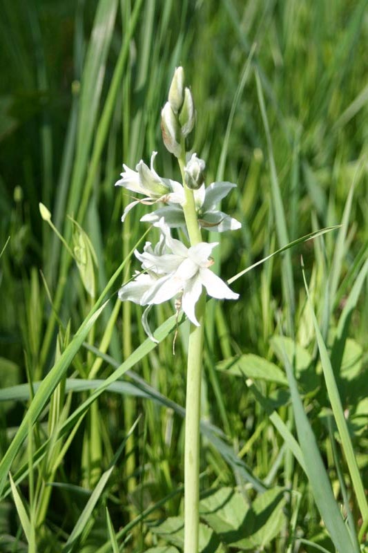 Killikus&reg; Fotographie